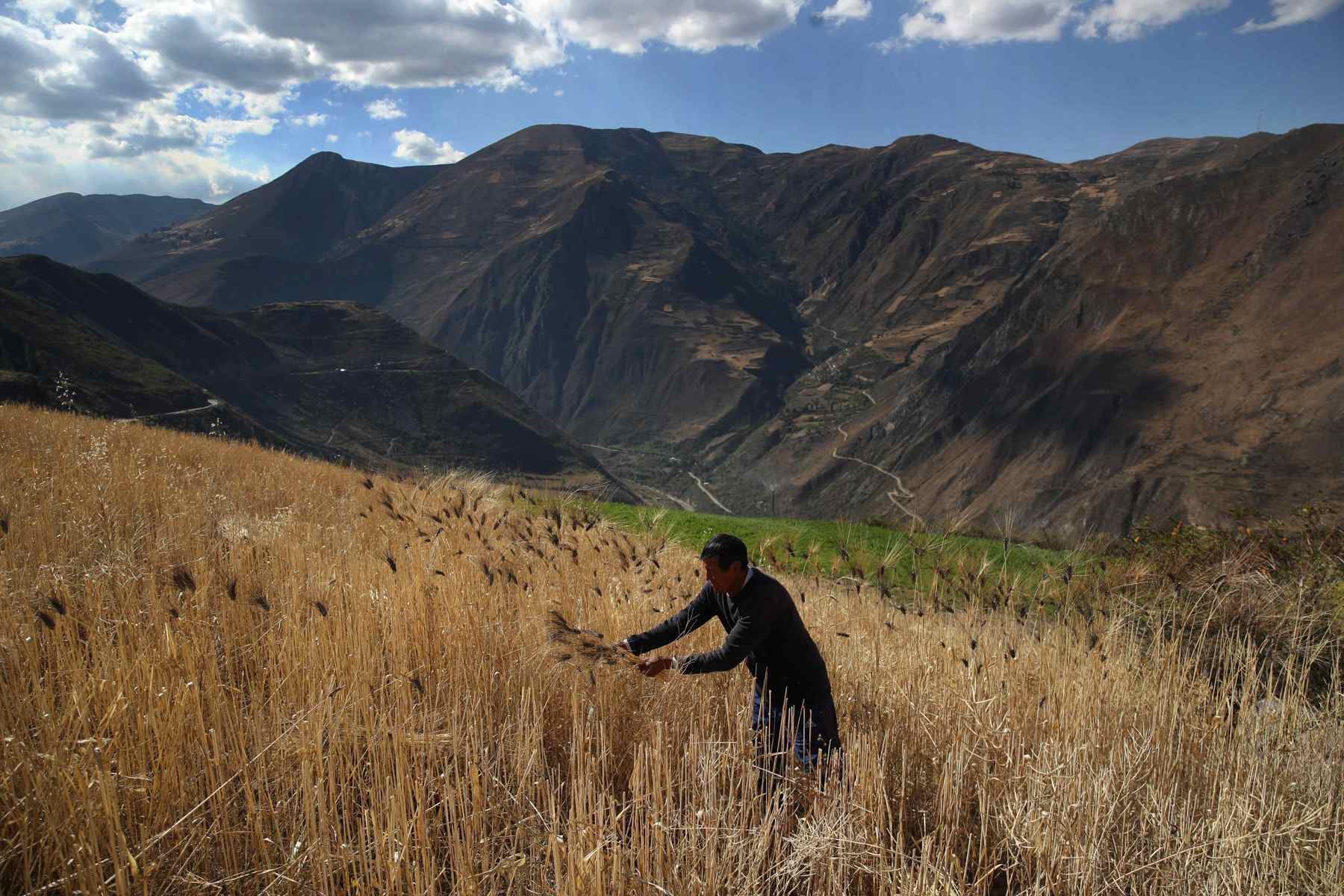 Los agricultores que viven sobre los 3.500 m s.n.m. en una zona tan desafiante como los Andes, viven mirando el cielo, porque de él depende su alimento, medicinas, economía y bienestar, pero no ven a la naturaleza como un ente proveedor, sino como alguien al que cuidar. Foto: EFE