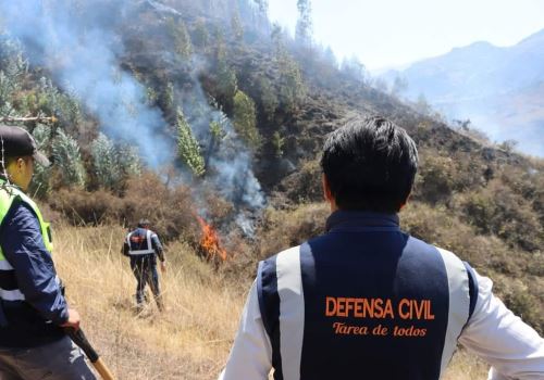 Un incendio forestal arrasó con más de 200 hectáreas de cobertura vegetal y causó daños en tres viviendas en el distrito de Usquil, provincia de Otuzco, en la sierra de La Libertad. ANDINA/Difusión