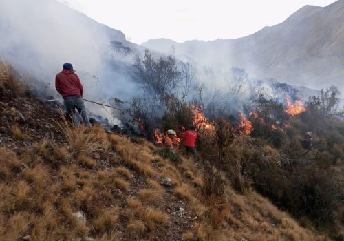 La región Áncash ya suma 101 los incendios forestales registrados en lo que va del año y es una de las más afectadas por estos siniestros. ANDINA/Difusión