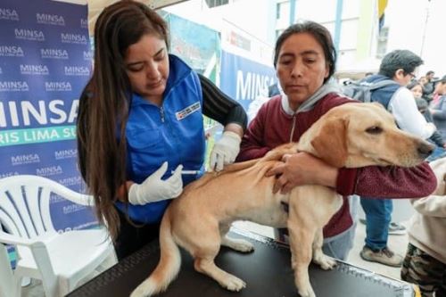 VanCan 2024: Minsa vacunará más de 3 millones de perros a nivel nacional. Foto: ANDINA/Difusión.