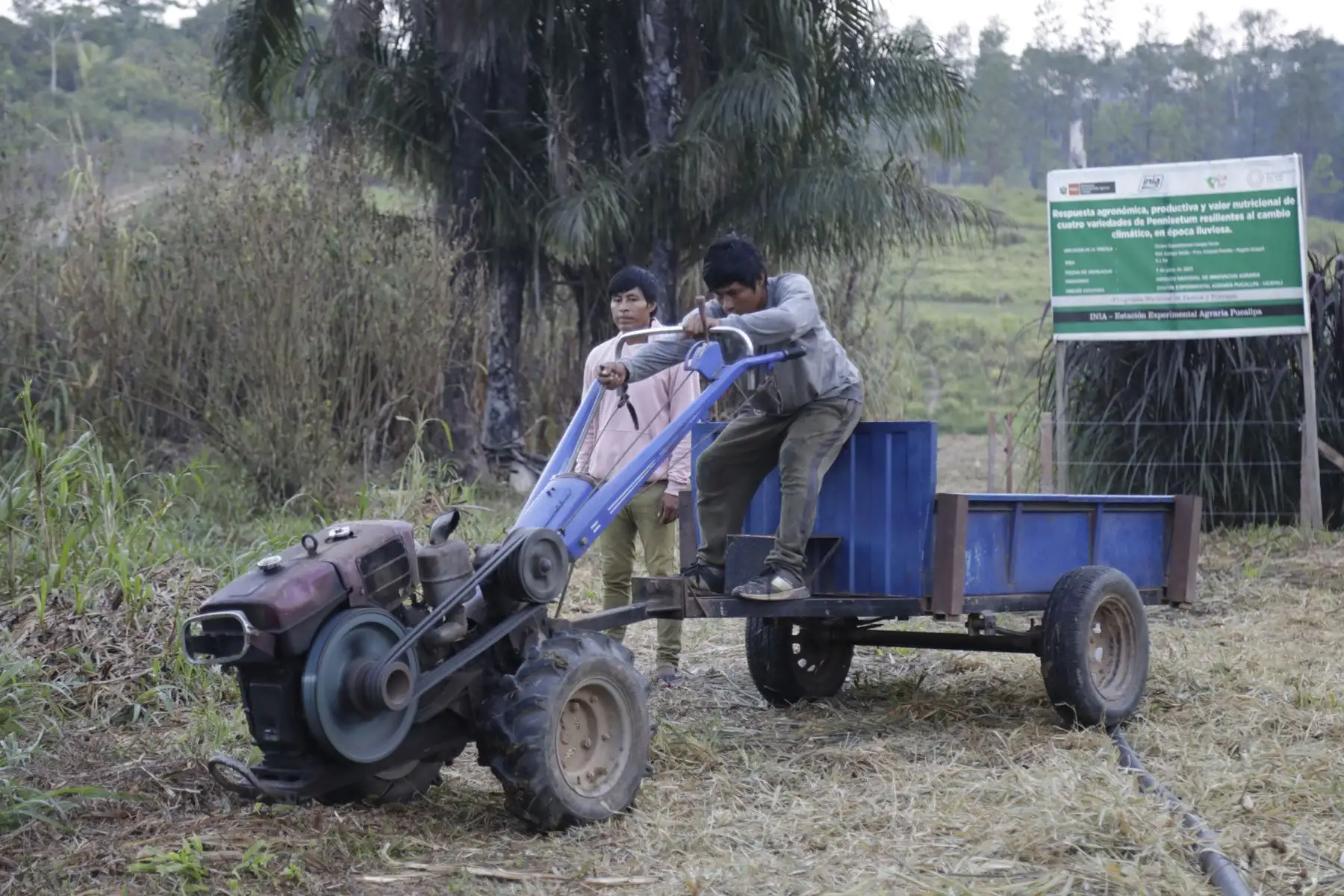 La puesta en marcha de esta moderna infraestructura contribuirá a dotar al ganado de las condiciones necesarias para enfrentar climas tropicales.
Foto: Midagri