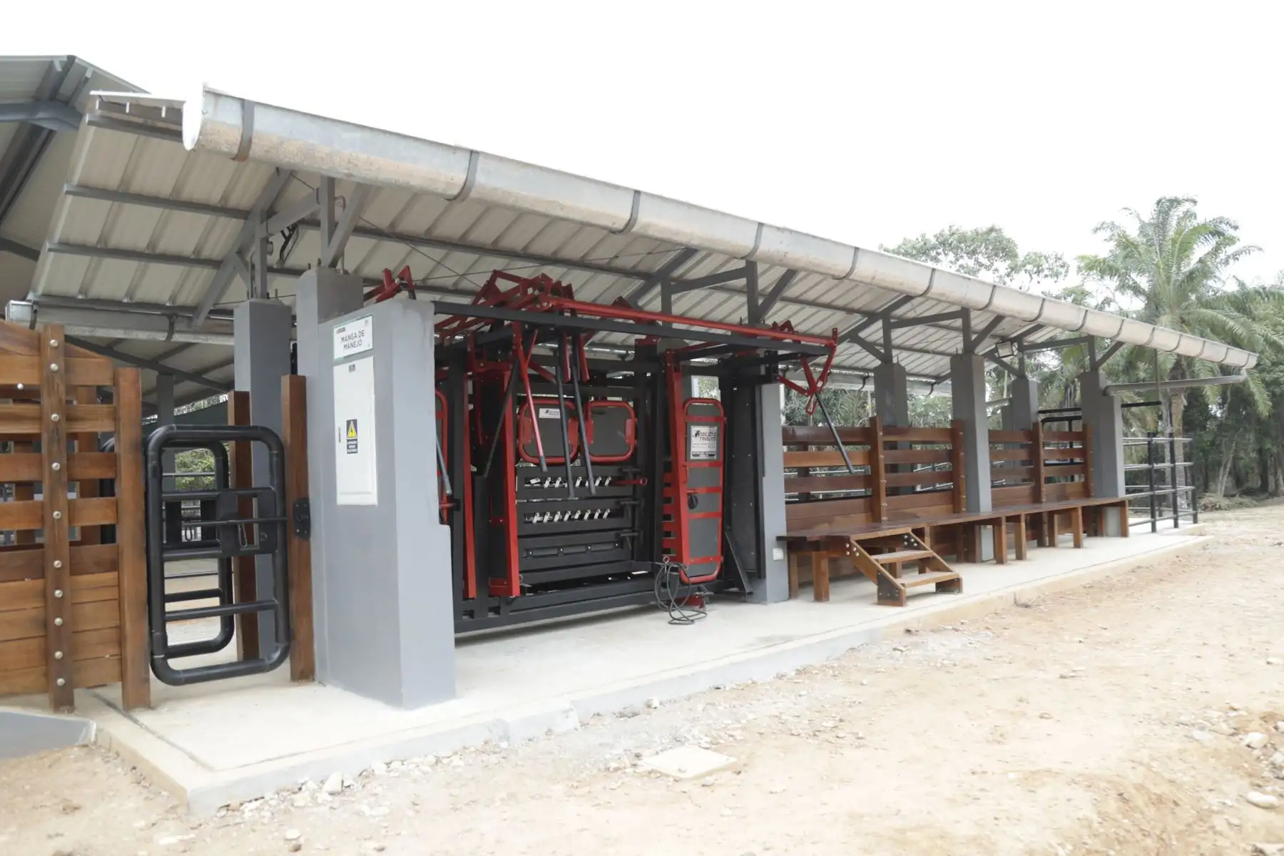 Titular del MIDAGRI, Angel Manero, anunció que con esta nueva infraestructura se busca mejorar la calidad de carne y leche de bovino mediante la transferencia de material genético de alta calidad.
Foto: Midagri