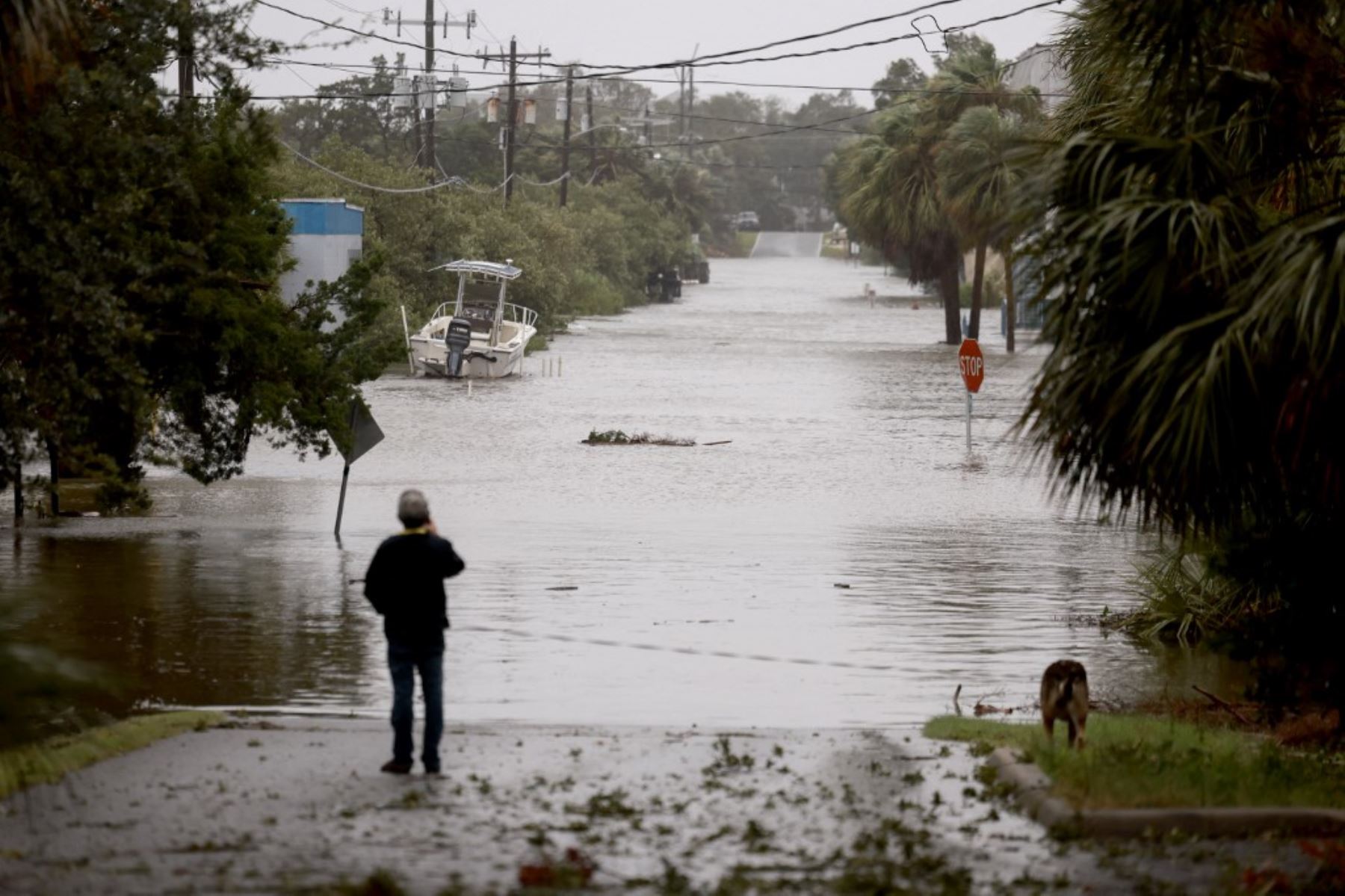 CEDAR KEY, FLORIDA - 5 DE AGOSTO: Una persona observa una calle inundada por la lluvia y la marejada ciclónica del huracán Debby en Cedar Key, Florida. El huracán Debby azota también con fuertes vientos el área de Big Bend. Foto: AFP