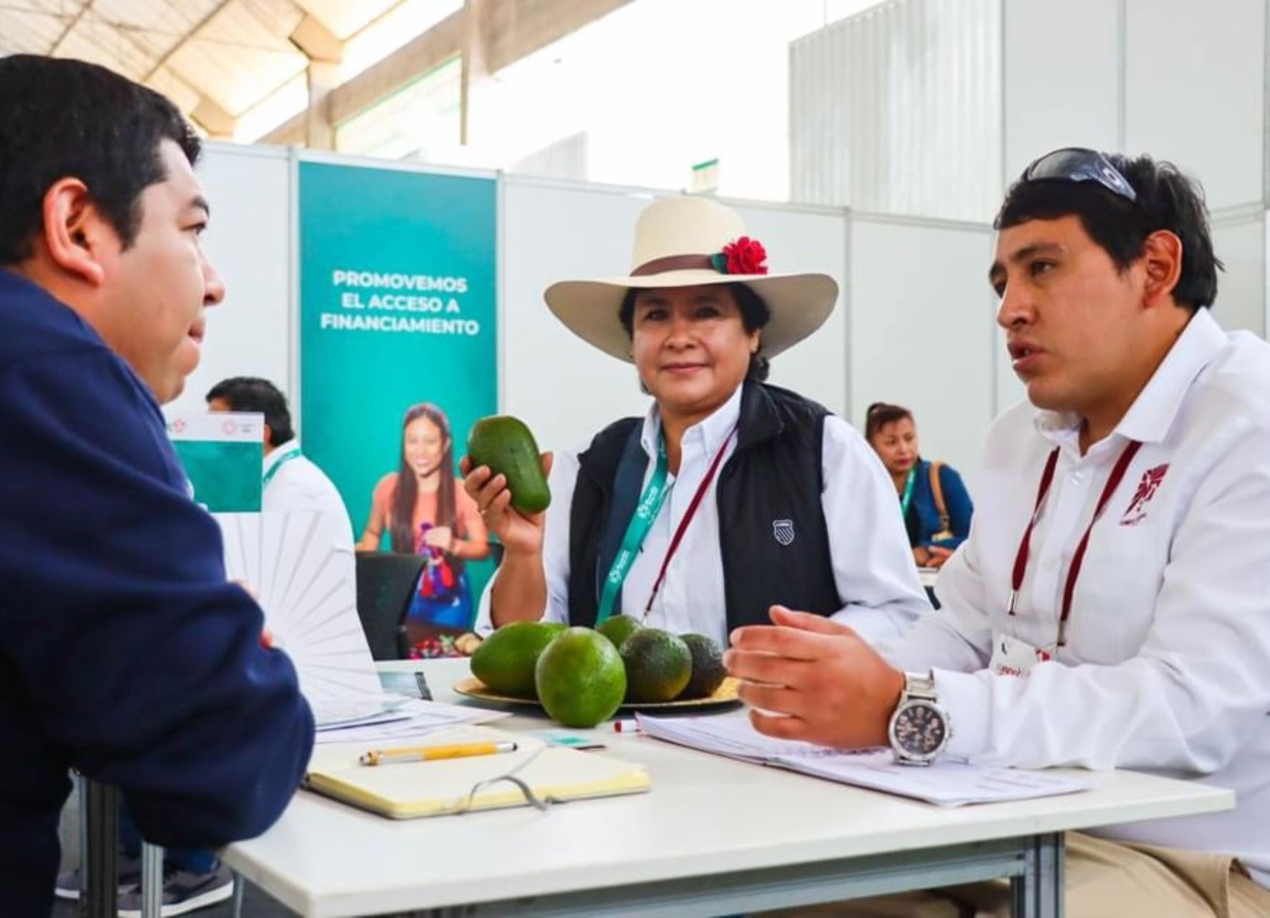 En solo 11 años Cusco se convirtió en una de las principales regiones productoras de palta Hass, una variedad que tiene gran demanda en el exterior. ANDINA/Difusión