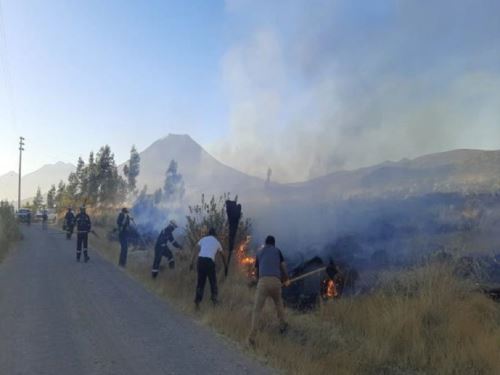 Bomberos y brigadas, conformadas por autoridades y pobladores, lograron extinguir cuatro incendios forestales reportados en Cusco, Puno y Pasco. ANDINA/Difusión