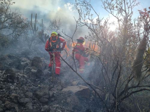 Incendio forestal de grandes proporciones avanza incontrolable en distrito cusqueño de Písac. Las brigadas no pudieron detener el avance del fuego. ANDINA/Difusión