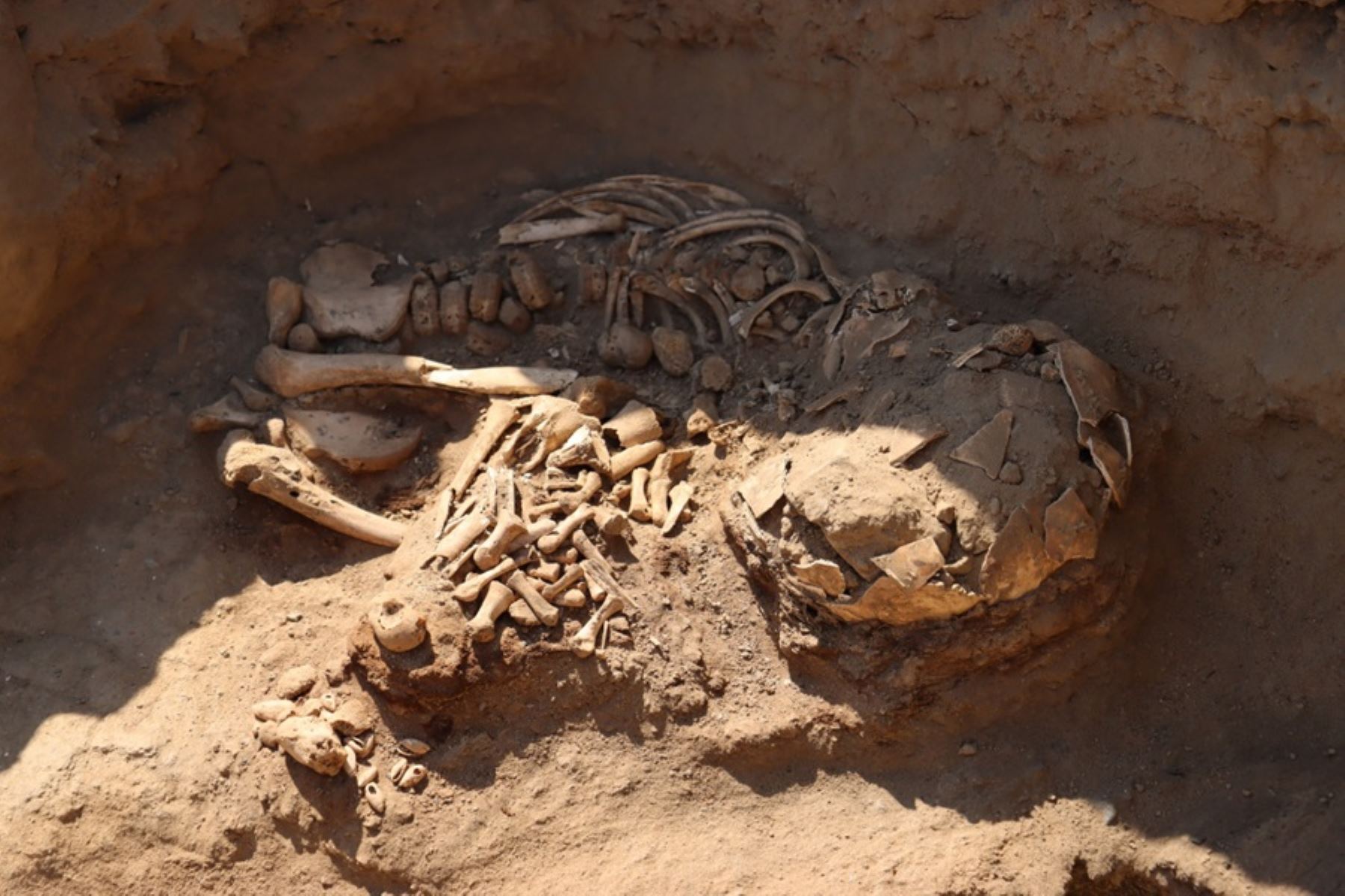 Especialistas del Proyecto de Investigación Arqueológica Valle de Virú hallaron entierros humanos de 3,800 años de antigüedad en valle de Virú.