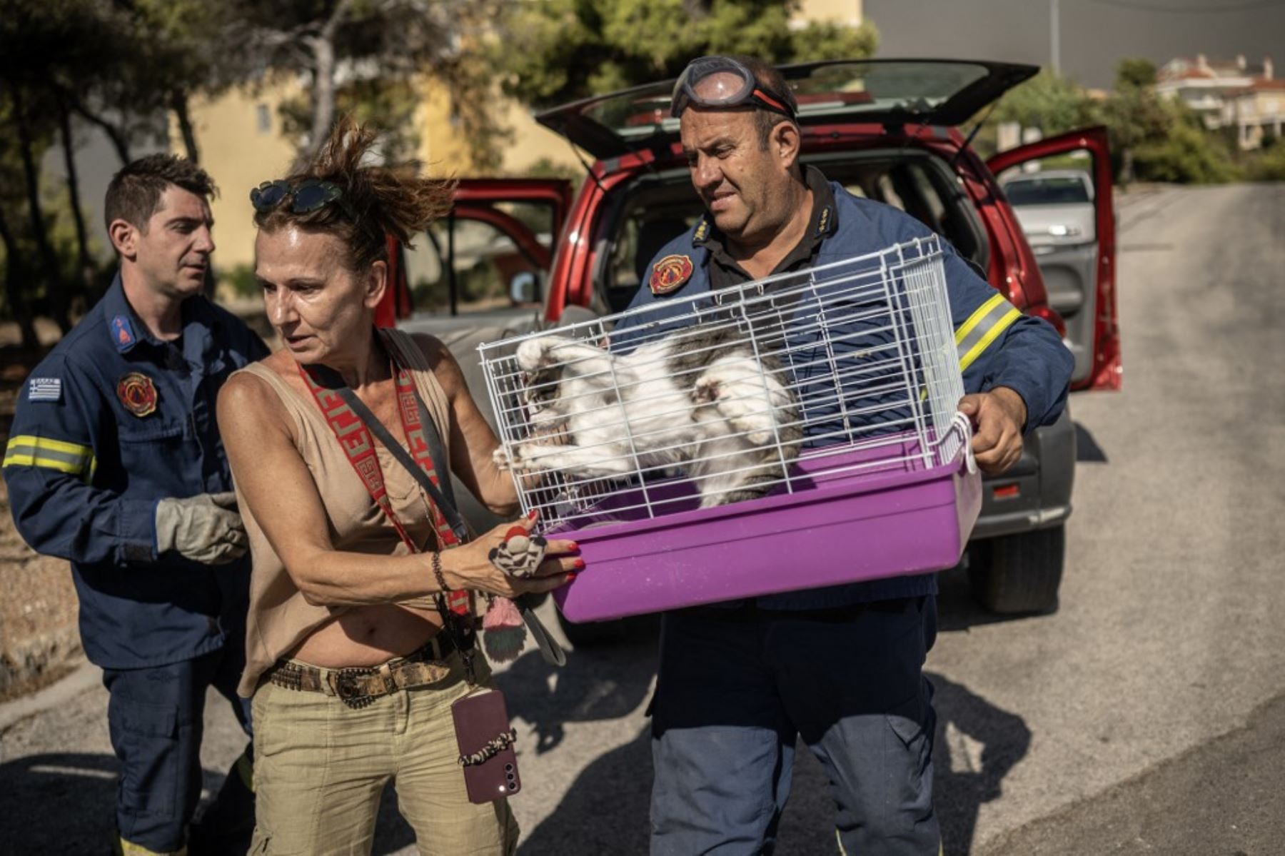 Una local sostiene a su gato en una jaula mientras evacua con la ayuda de los bomberos durante un incendio forestal en Dione. Foto: AFP