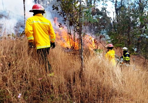 En los primeros 12 días de agosto ya se registraron 16 incendios forestales en Cajamarca, superando lo observado  en todo julio en dicha región, advirtió la Oficina Regional de Defensa Nacional del Gore Cajamarca. Foto: ANDINA/difusión.