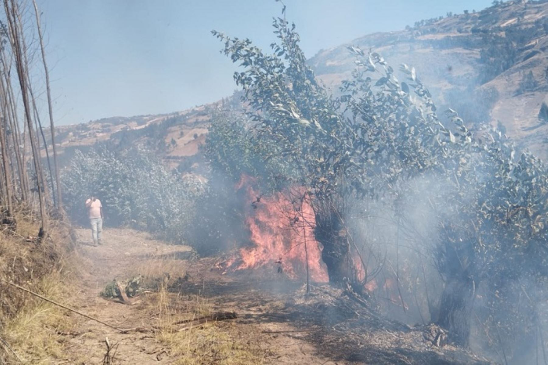 Hasta el momento no se ha informado de personas heridas o si el incendio afectó viviendas o cabezas de ganado en la zona.