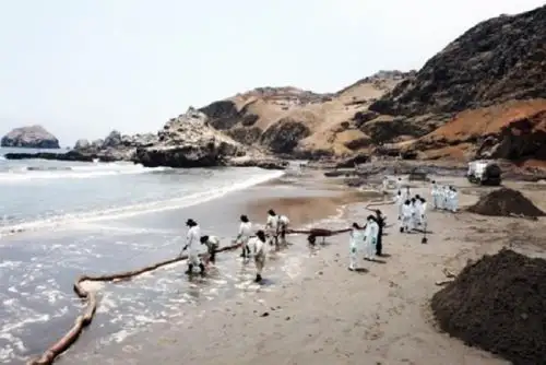 Se efectuarán sesiones en las zonas afectadas por el mencionado derrame de petróleo tales como las áreas naturales protegidas y las playas de Ventanilla, Santa Rosa, Ancón, Aucallama y Chancay.