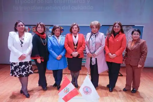Debaten necesidad de fortalecer capacidades del profesional de la enfermería en el Perú.