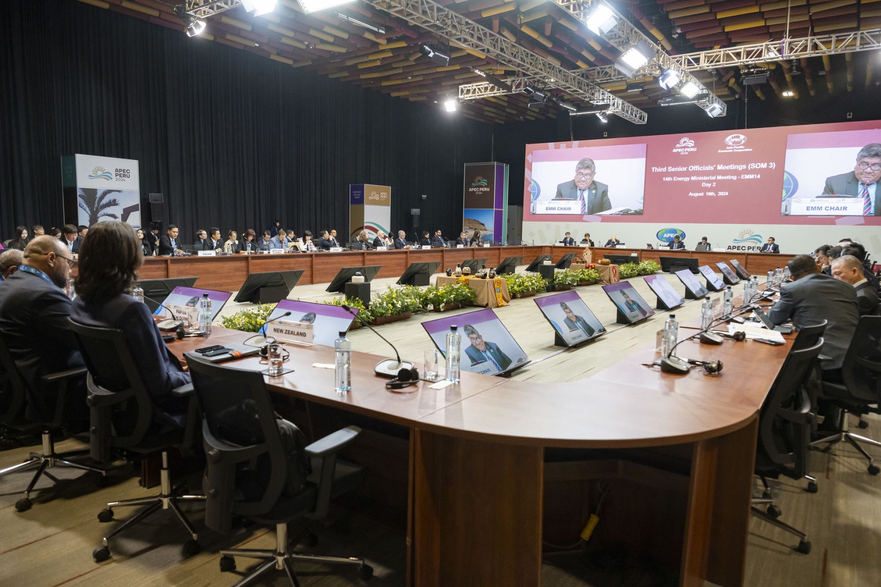 14 Reunión Ministerial de Energía del Foro APEC 2024.