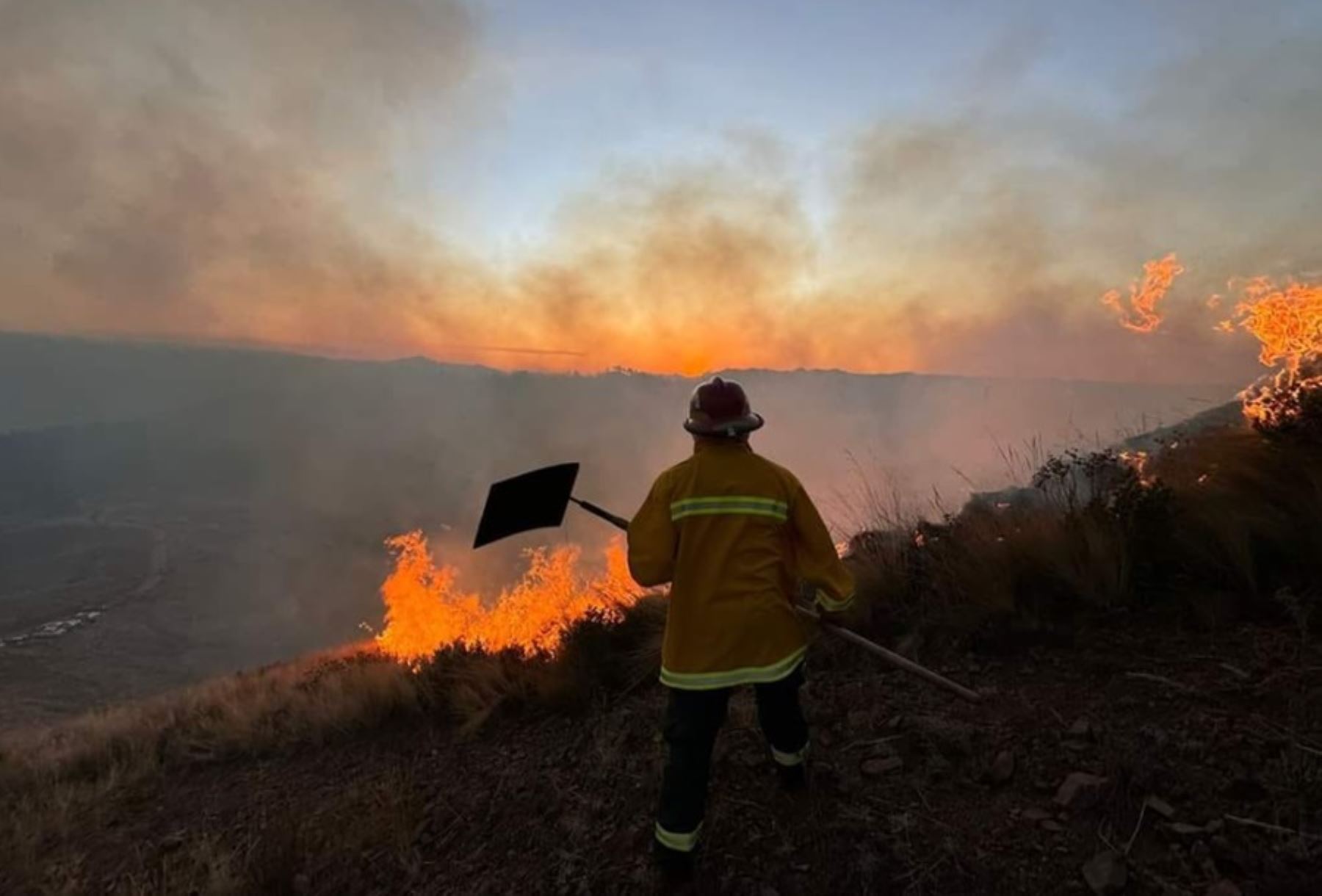 En lo que va del año, se han registrado 2,500 incendios forestales en el país, según el Ministerio del Ambiente. Foto: ANDINA/Difusión