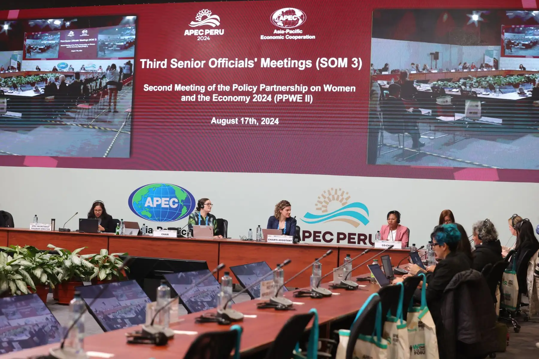 En el marco de la Segunda Reunión del Partenariado de Políticas de Mujer y la Economía del Foro de Cooperación Económica de Asia Pacífico (APEC), la ministra de la Mujer y Poblaciones Vulnerables, Teresa Hernández, participa del diálogo sobre los desafíos que enfrentan las economías para avanzar en el objetivo de lograr el empoderamiento económico de mujeres y niñas. Foto: ANDINA/Melina Mejía