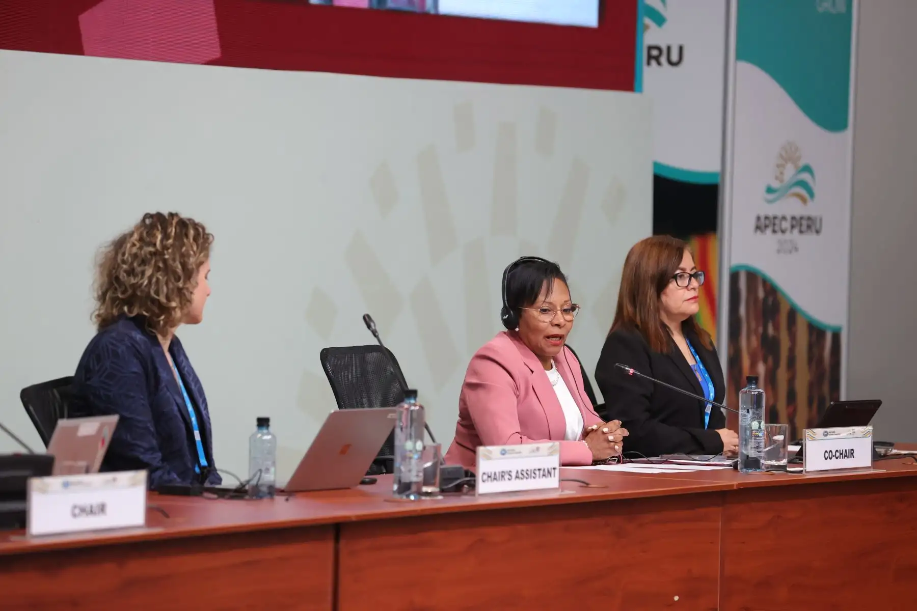 En el marco de la Segunda Reunión del Partenariado de Políticas de Mujer y la Economía del Foro de Cooperación Económica de Asia Pacífico (APEC), la ministra de la Mujer y Poblaciones Vulnerables, Teresa Hernández, participa del diálogo sobre los desafíos que enfrentan las economías para avanzar en el objetivo de lograr el empoderamiento económico de mujeres y niñas. Foto: ANDINA/Melina Mejía
