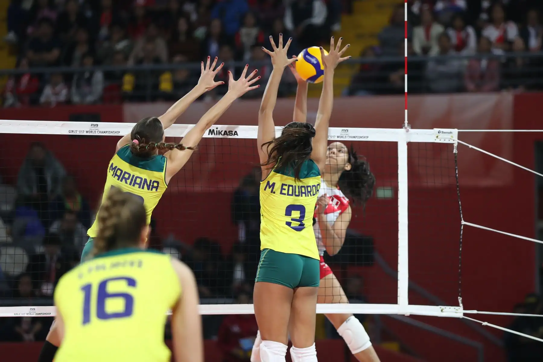 La selección peruana de voleibol realiza su debut en el Mundial U17 del 2024. Este esperado encuentro se disputa en el Coliseo Eduardo Dibós, donde el equipo nacional se mide ante Brasil, subcampeón del Sudamericano de la categoría.
Foto: ANDINA/ Lino Chipana