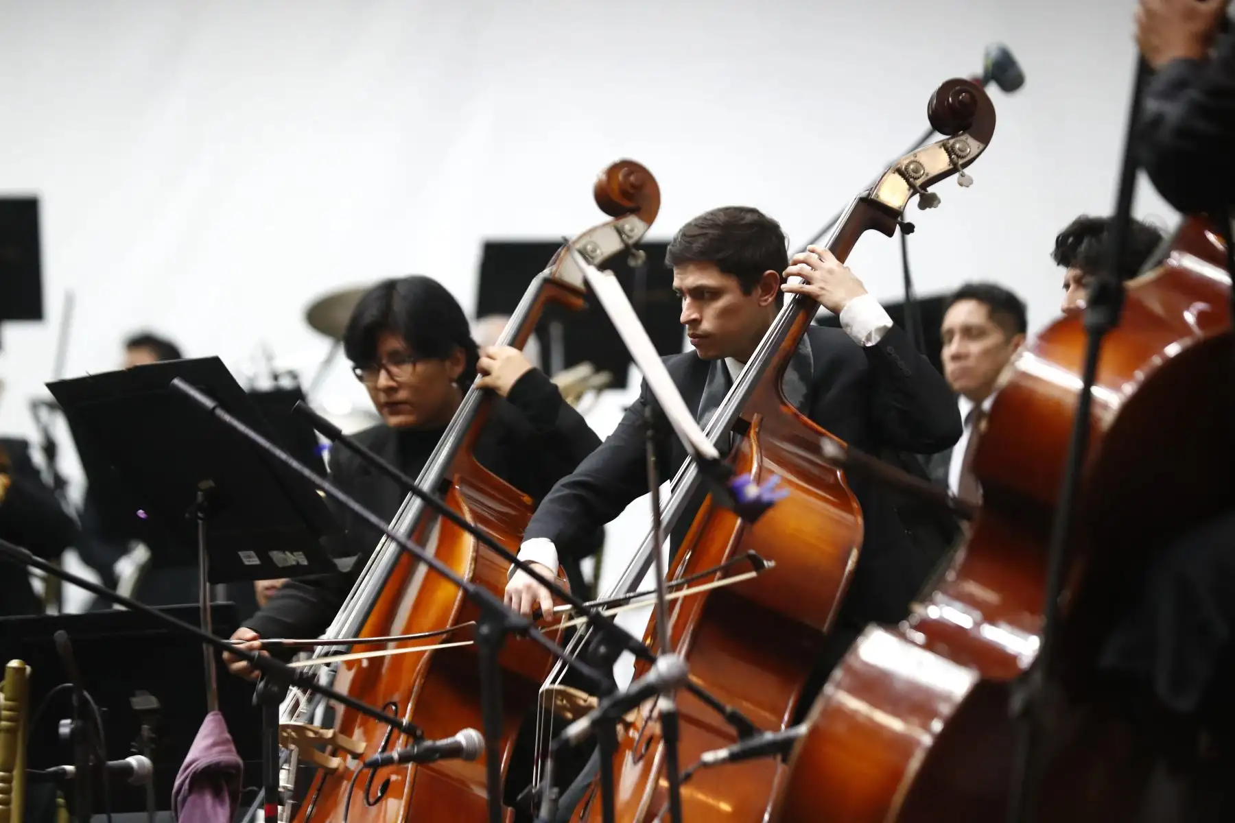 La Orquesta Sinfónica Nacional y la Orquesta Sinfónica de Trujillo ofrecieron un concierto gratuito en la Plaza de Armas de Trujillo, región La Libertad, en el marco de la realización del Foro de Cooperación Económica Asia-Pacífico APEC Perú 2024. 
Foto: ANDINA/Daniel Bracamonte
