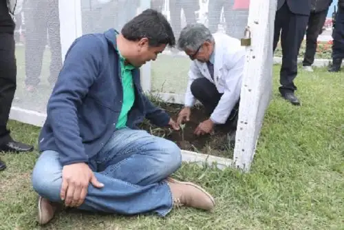 Trujillo: siembran quinta variedad de árbol de la quina en la plaza de Armas