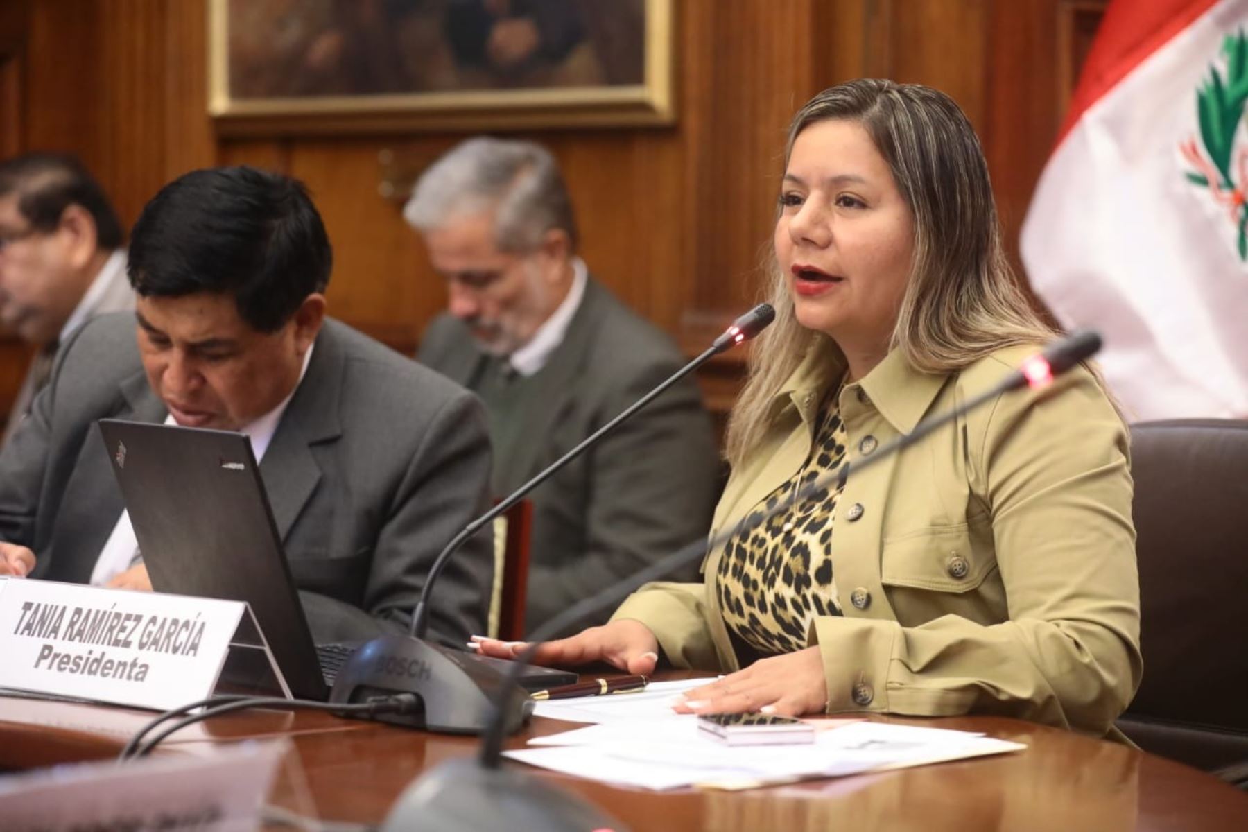 Tania Ramírez, flamante presidenta de la Comisión de Producción del Congreso. Foto: ANDINA/difusión.