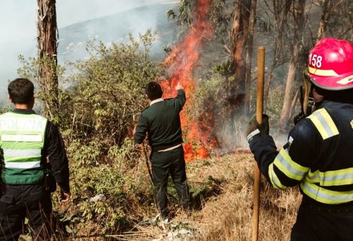 Más de 1,000 hectáreas de bosques y cultivos fueron arrasados por los incendios registrados en la sierra de La Libertad.