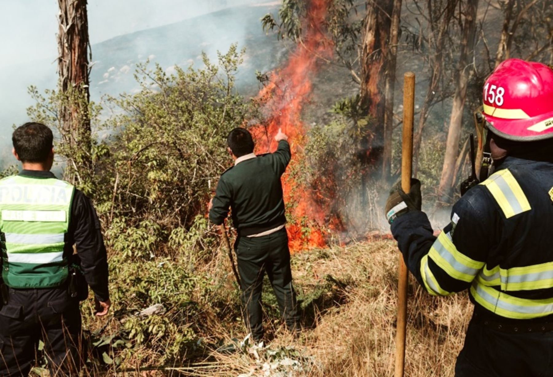 Más de 1,000 hectáreas de bosques y cultivos fueron arrasados por los incendios registrados en la sierra de La Libertad.