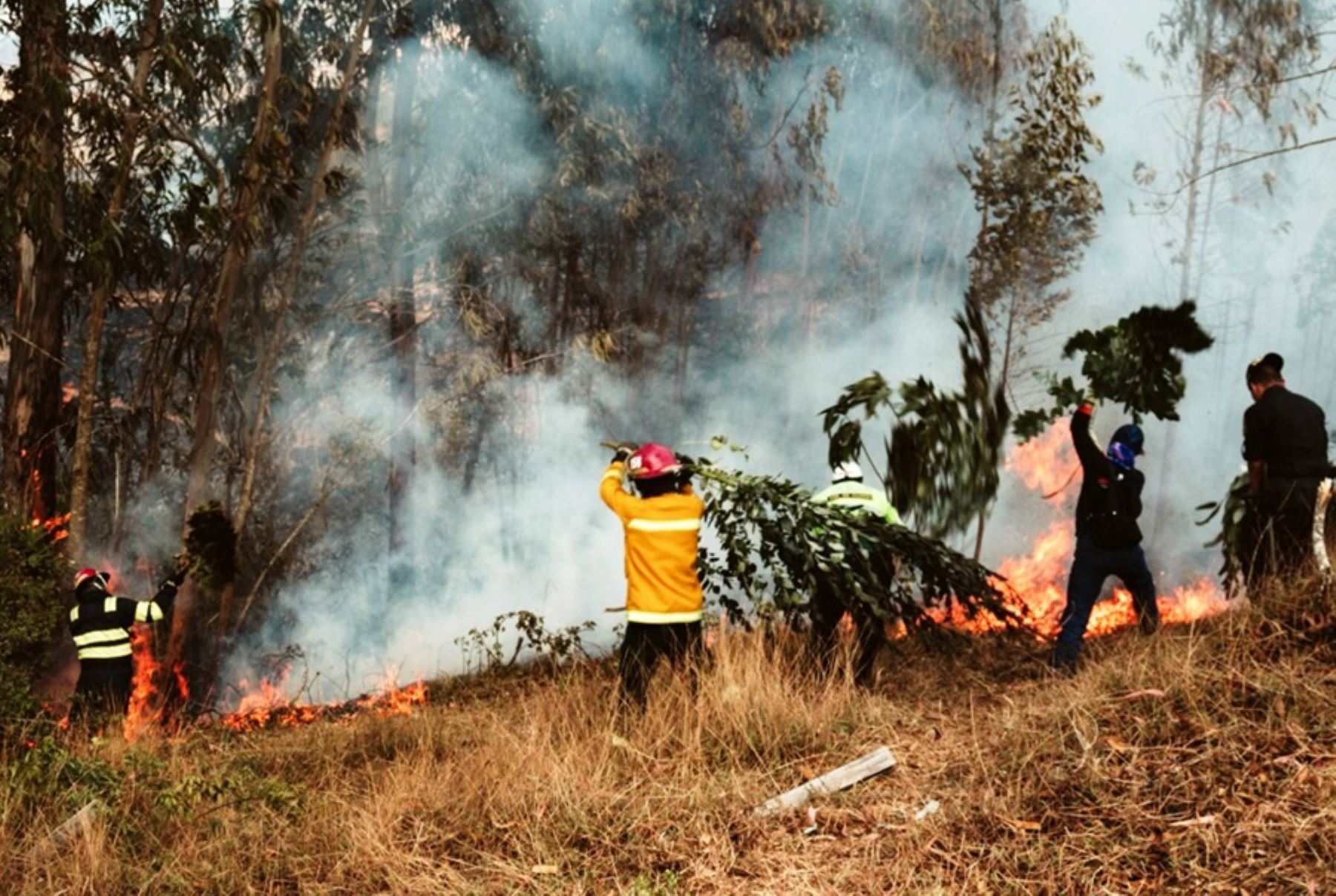 ANDINA/Difusión. El Congreso aprobó un dictamente en la Comisión Agraria que obligará a las regiones a diseñar planes de prevención ante los incendios forestales