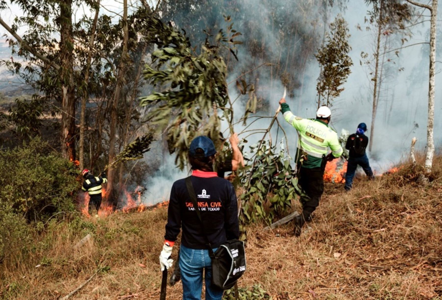 Los incendios forestales no solo se registran en las zonas altoandinas, sino también en localidades amazónicas.