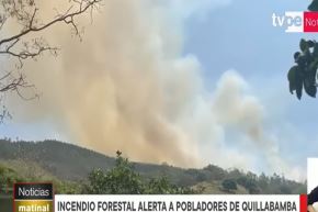 Incendio forestal arrasa con bosque reforestación y cultivos en Quillabamba en la Convención, Cusco y bomberos piden ayuda