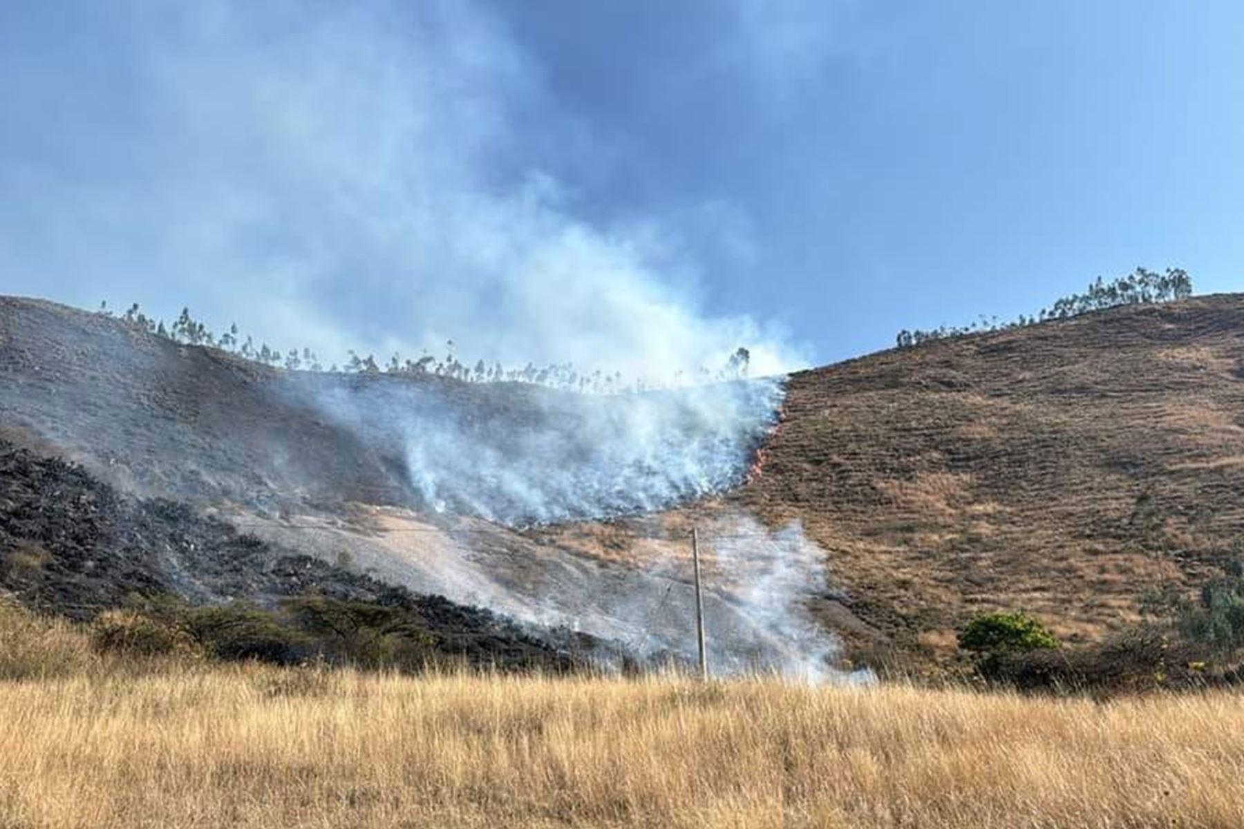 La Subgerencia de Defensa Civil de La Libertad hizo un llamado a la población para que cuide y proteja los bosques. Foto: ANDINA/Difusión