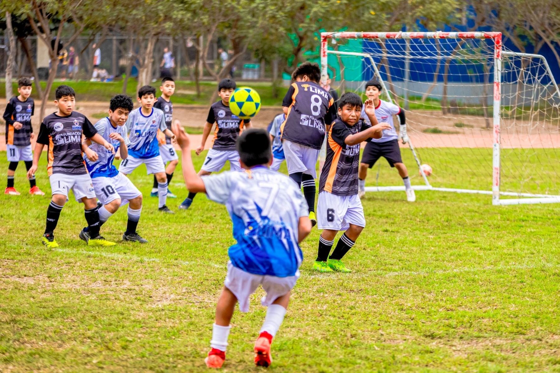 Talleres de verano 2025 en los parques y clubes metropolitanos. Foto: ANDINA/Difusión.