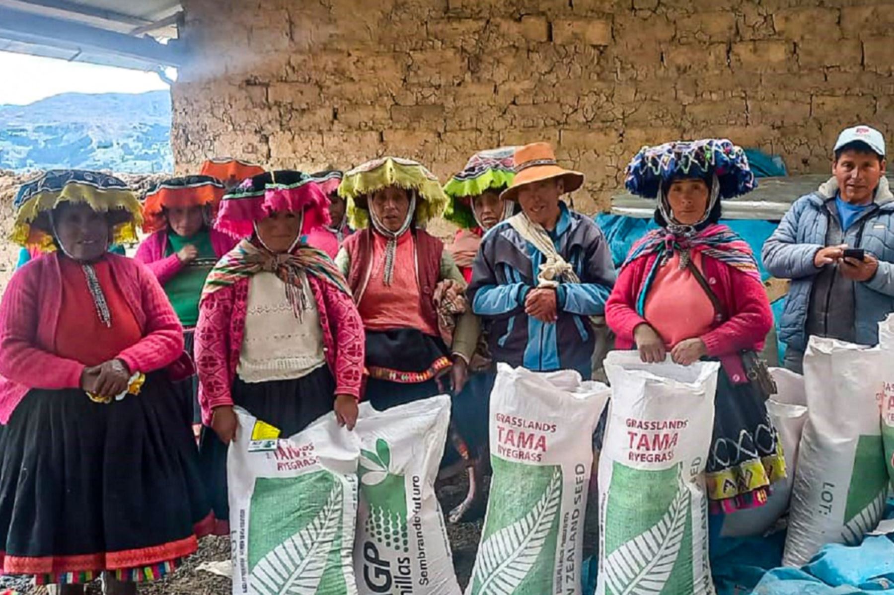 Productores de Cusco son capacitados en uso de semillas de pastos mejorados. Foto: cortesía.