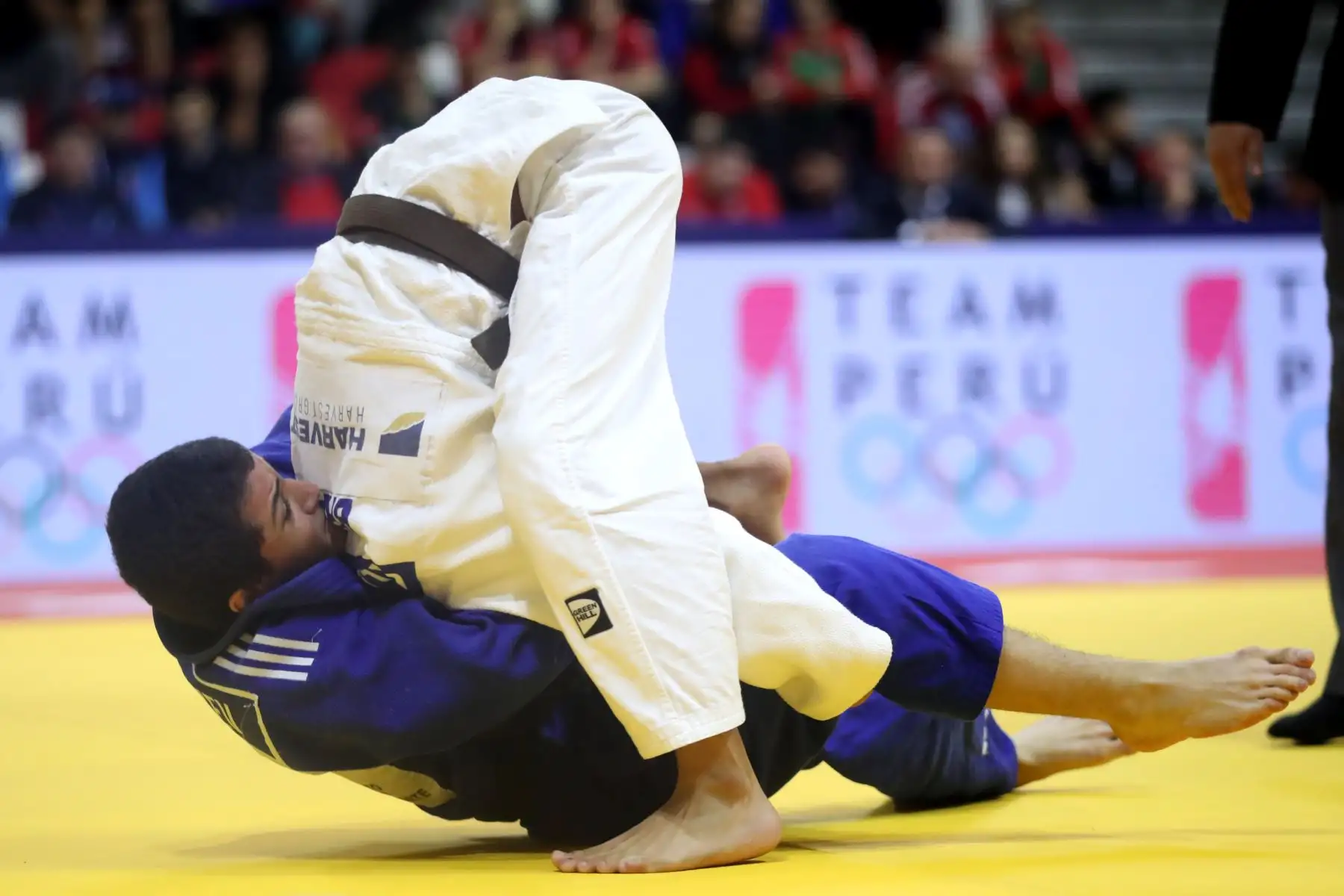 Campeonato Mundial de Judo Lima 2024.
Polideportivo 1 de la VIDENA.


Foto: ANDINA / Lino Chipana.