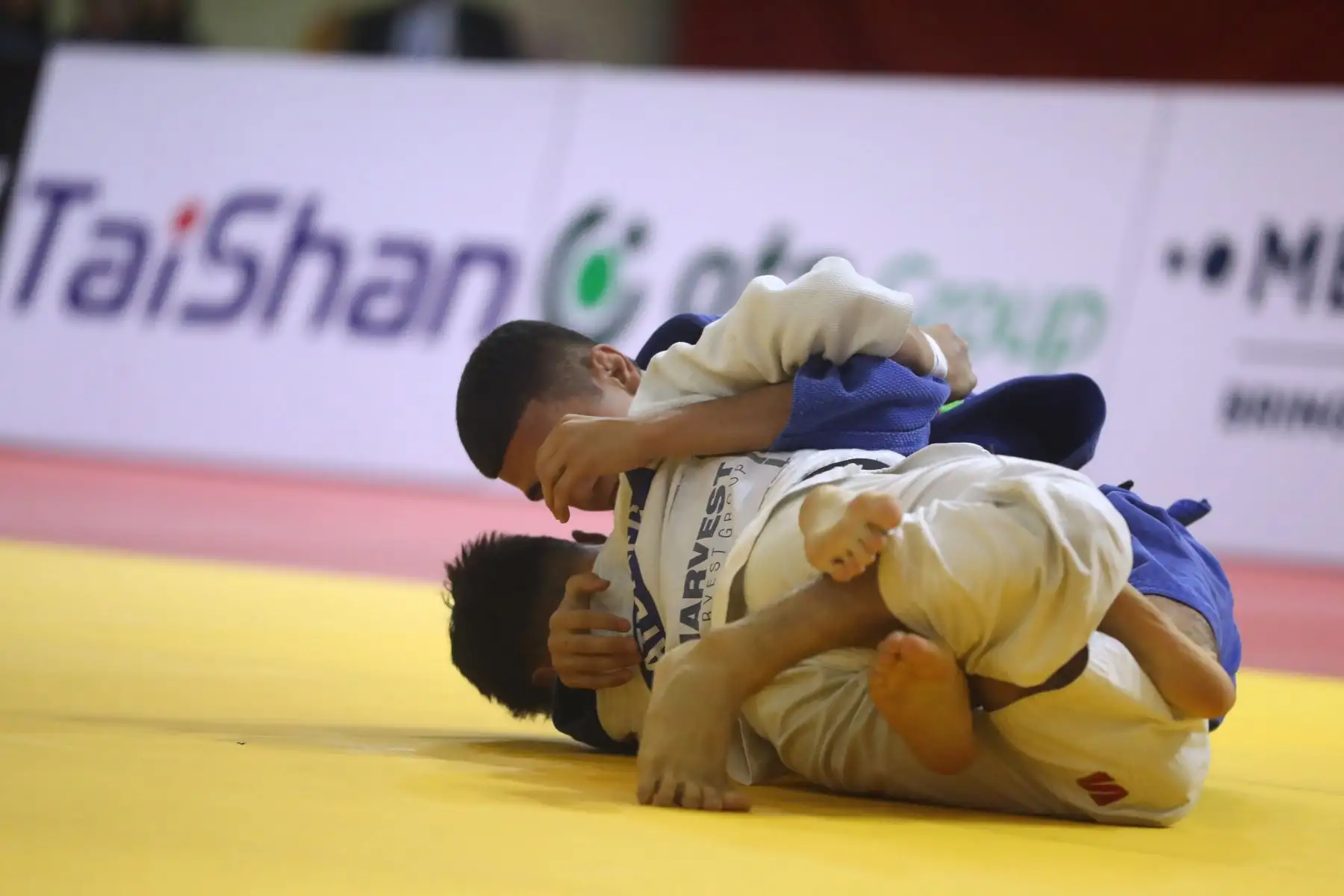 Campeonato Mundial Cadetes de Judo Lima 2024.
Final de varones 55 Kg, Polideportivo 1 de la VIDENA.

Foto: ANDINA / Lino Chipana.