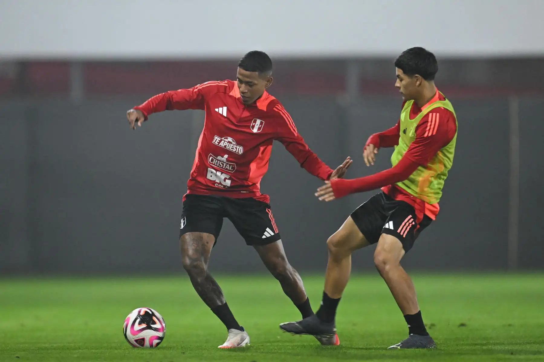 Selección peruana realizó segundo entrenamiento en la Videna de cara al encuentro frente a Colombia el próximo 6 de septiembre

Foto:ANDINA/FPF