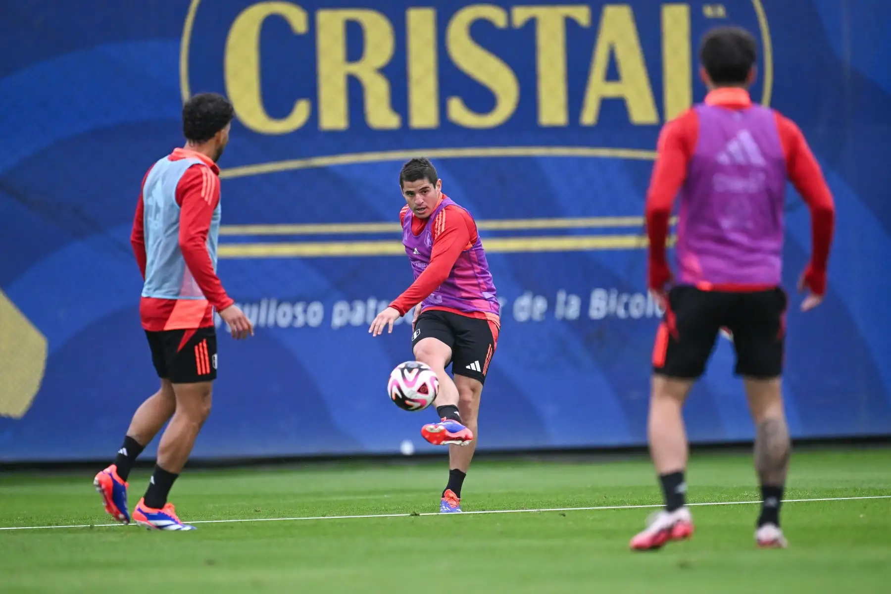Selección peruana realizó segundo entrenamiento en la Videna de cara al encuentro frente a Colombia el próximo 6 de septiembre

Foto:ANDINA/FPF