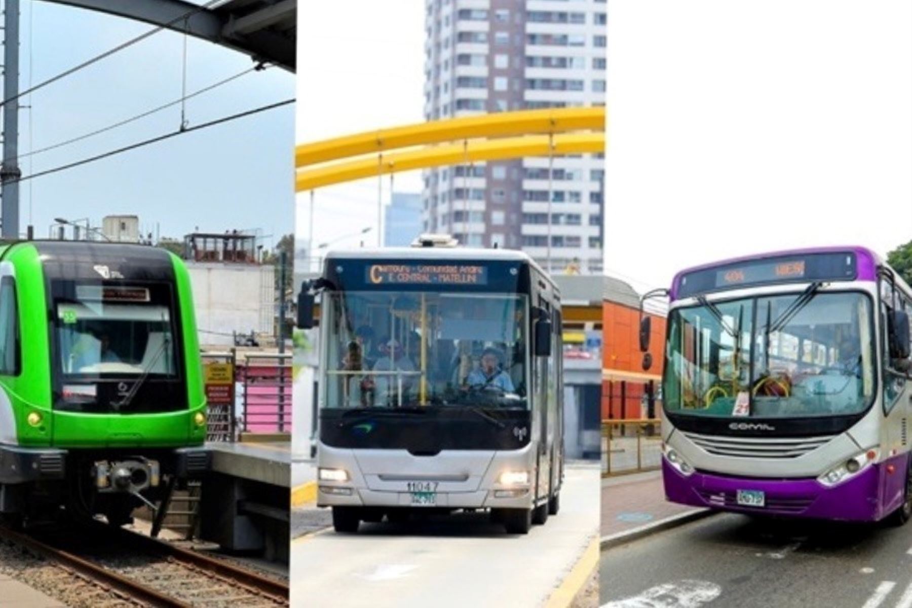 Santa Rosa de Lima: conoce el horario del transporte público por el feriado 30 de agosto. Foto: ANDINA/Difusión.