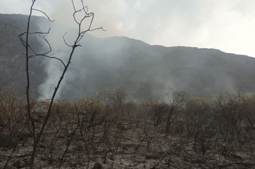 Tropas del Ejército Peruano y la Unidad de Rescate de la Policía Nacional del Perú  se encuentran monitoreando la zona hasta el día de mañana.ANDINA/Difusión