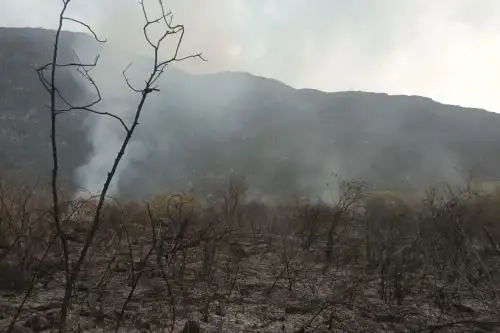 Tropas del Ejército Peruano y la Unidad de Rescate de la Policía Nacional del Perú  se encuentran monitoreando la zona hasta el día de mañana.ANDINA/Difusión