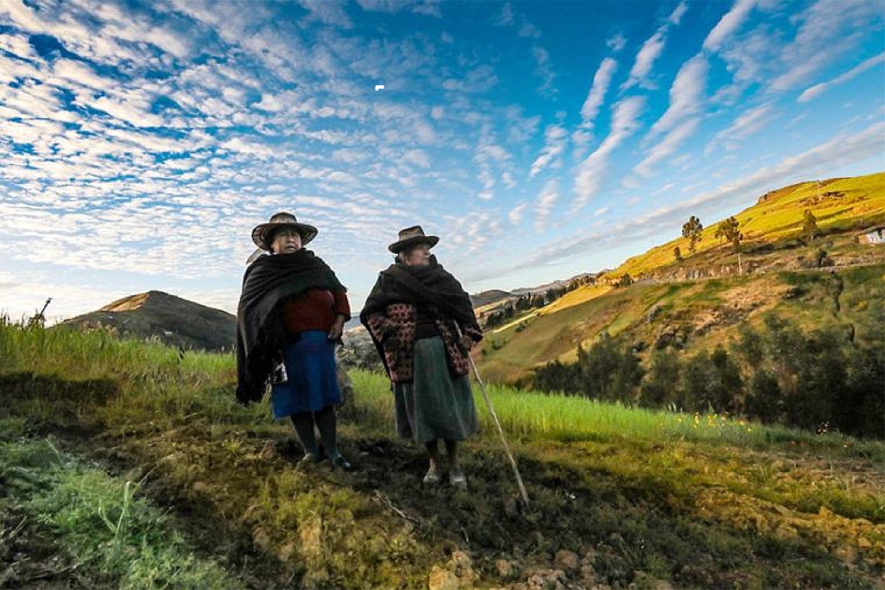 Decreto Legislativo 1637: Nuevas medidas de apoyo para pequeños productores peruanos