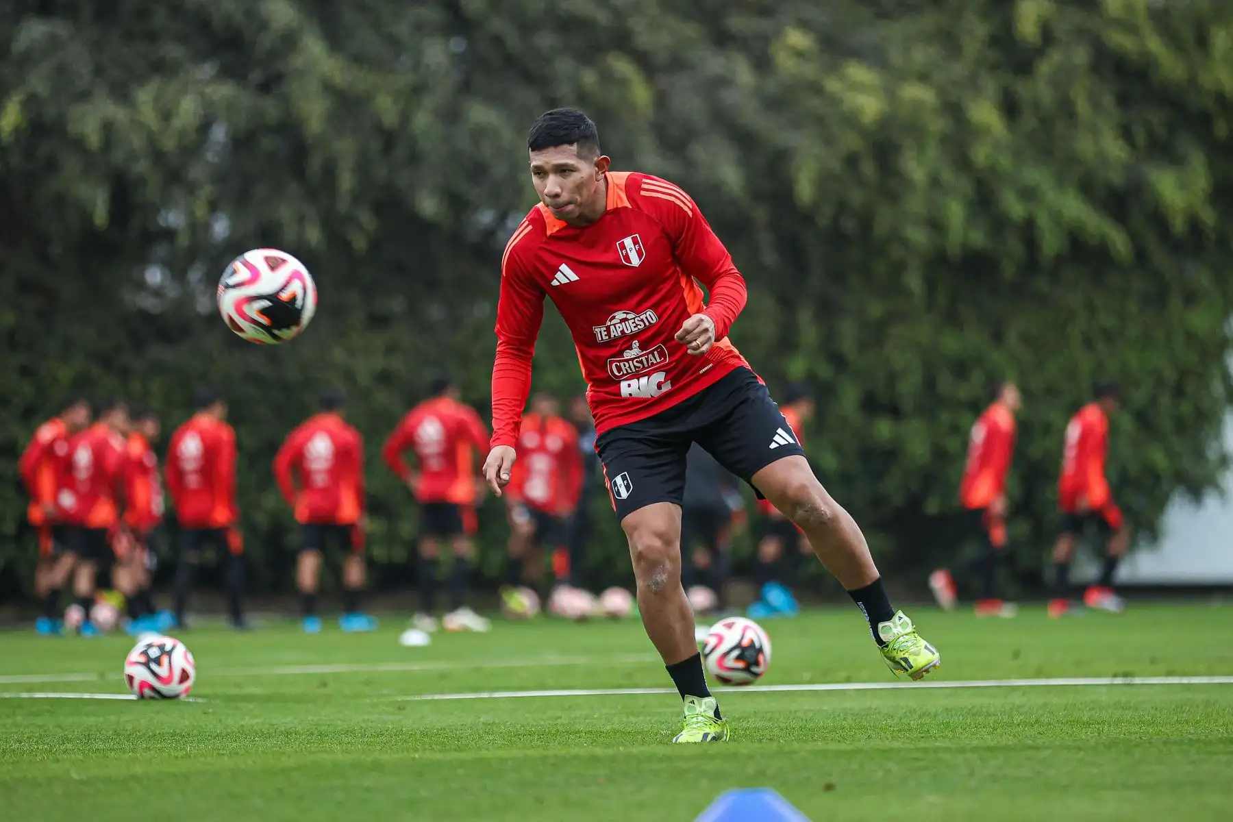 Selección peruana entrena para su próximo partido en las eliminatorias del Mundial 2026. Foto: FPF