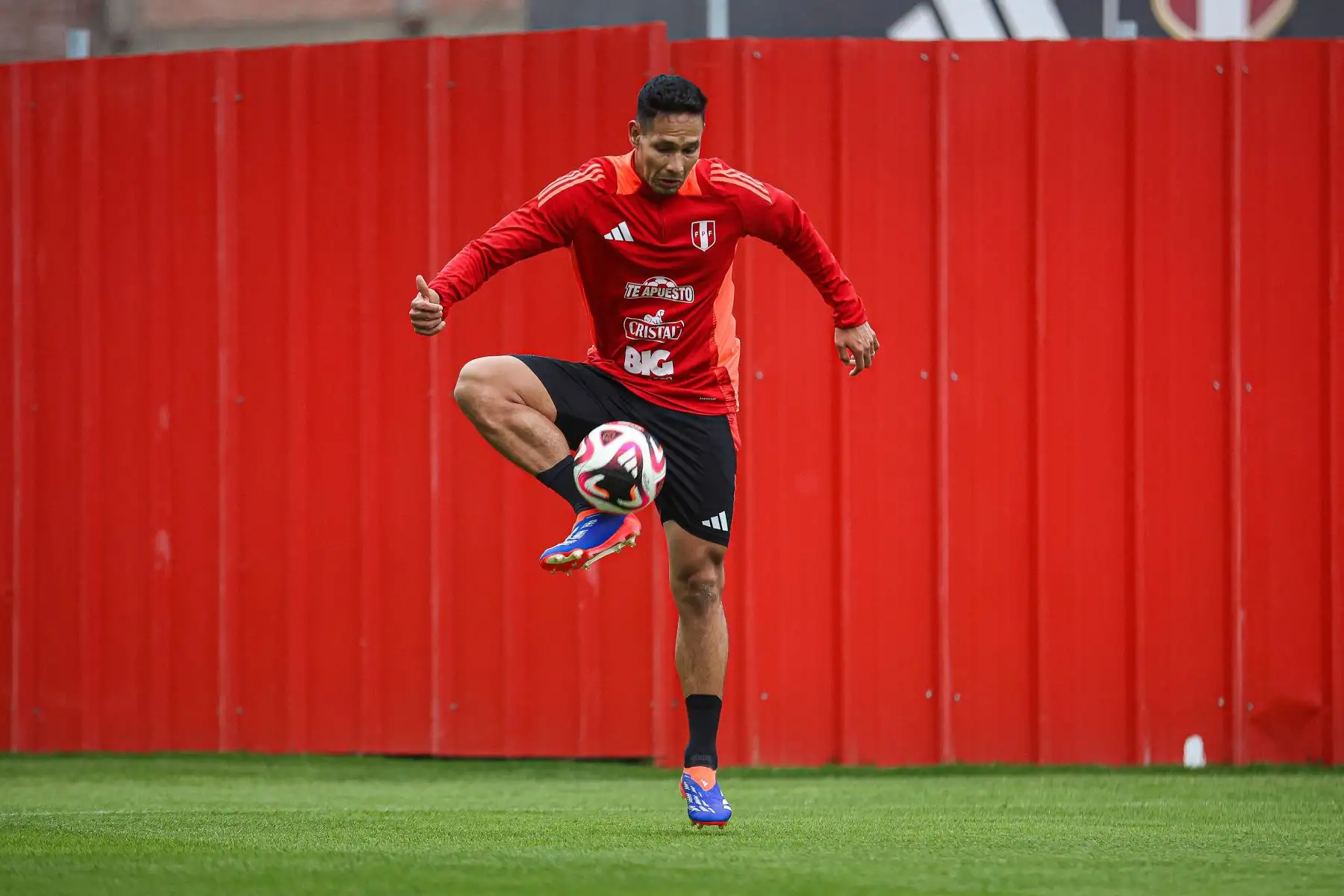 Selección peruana entrena para su próximo partido en las eliminatorias del Mundial 2026. Foto: FPF