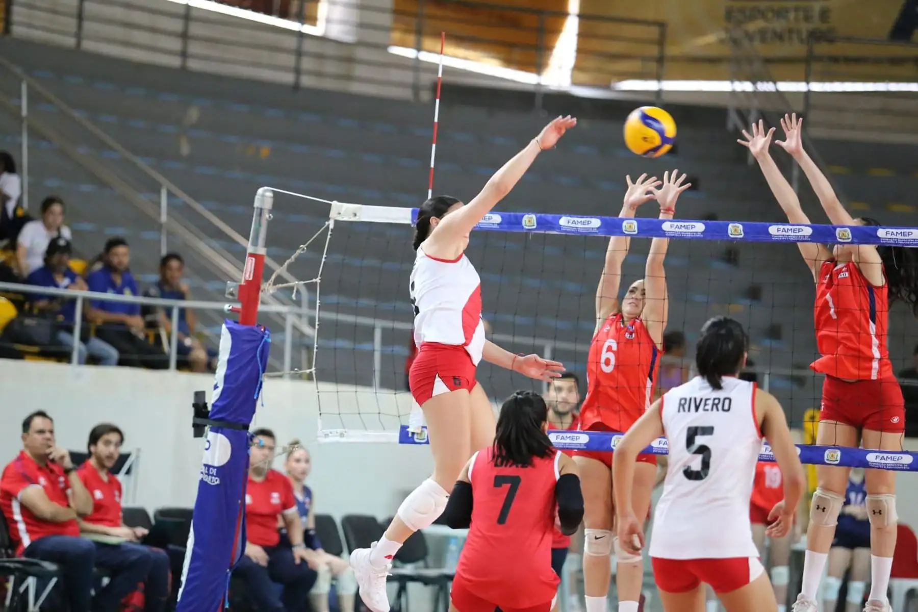La selección femenina U19 de nuestro país, logró clasificar al Mundial de esta categoría y subir al podio del Sudamericano desarrollado en Brasil, al vencer categóricamente a Chile.
Foto: FPV