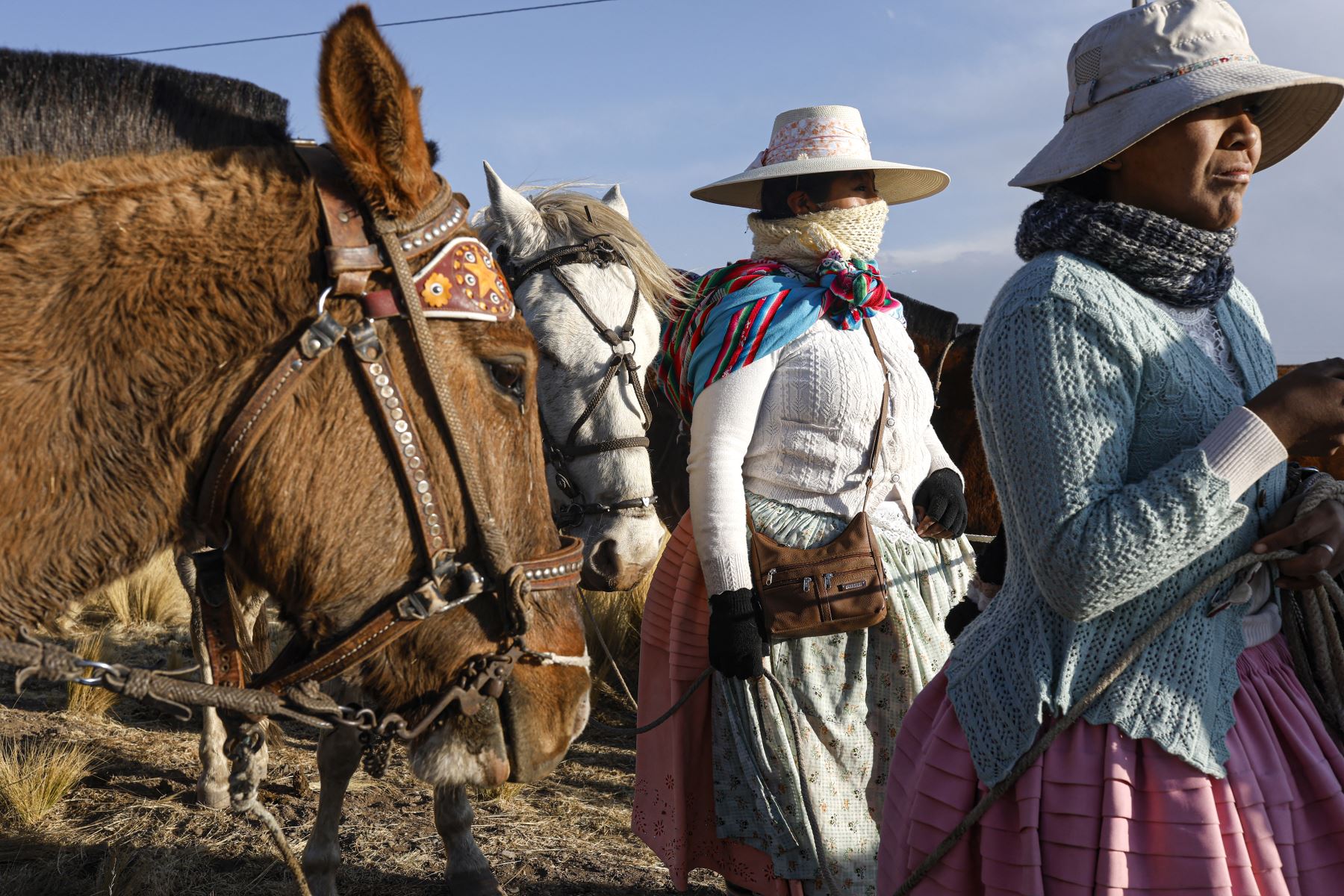 Jinetes pertenecientes al pueblo indígena aymara se preparan para participar en una carrera de caballos en la comunidad Molino, ubicada en el distrito de Acora, a 4000 metros sobre el nivel del mar en Puno, Perú.
Foto: AFP