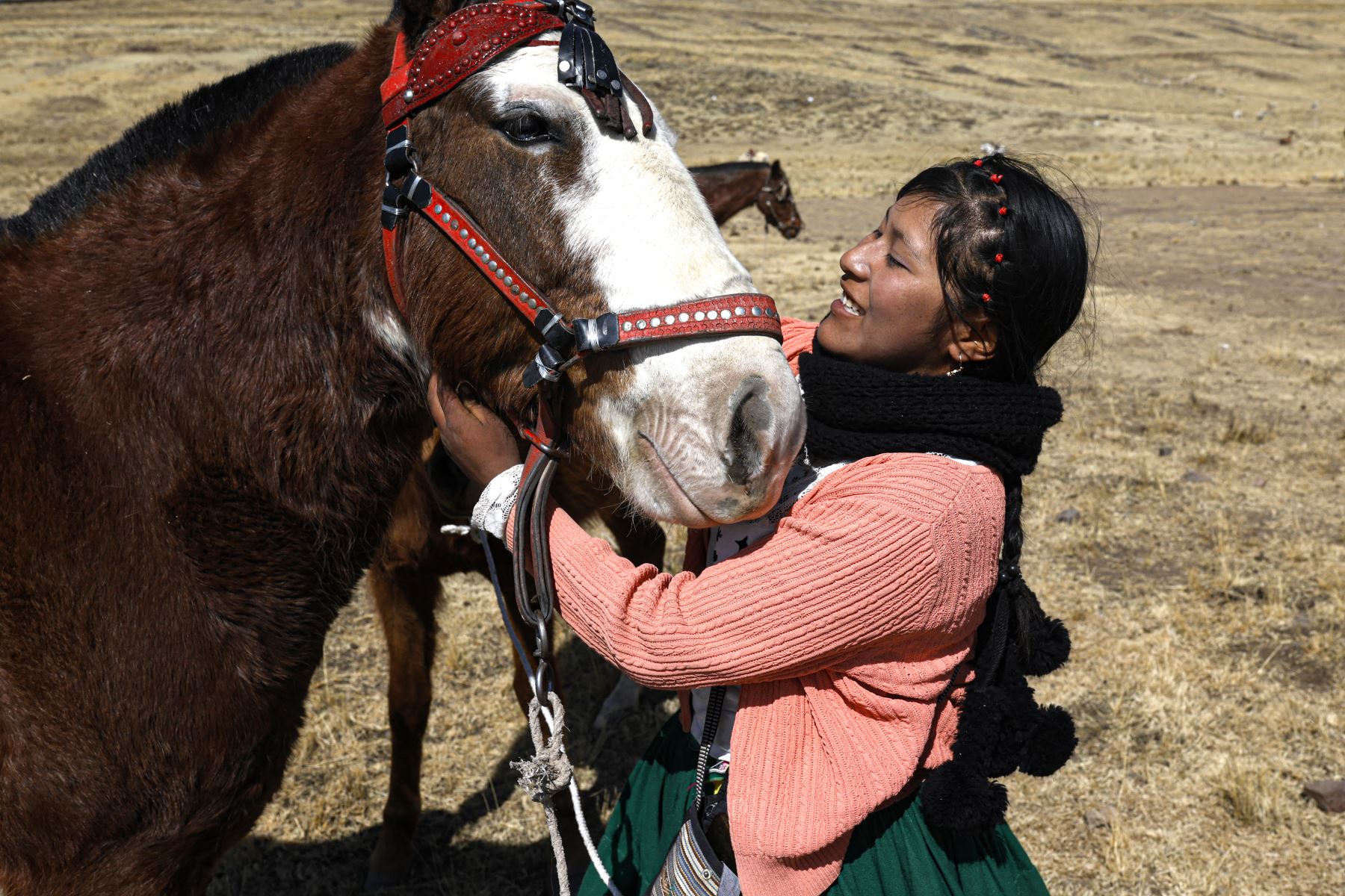 Una jinete perteneciente al pueblo indígena aymara se alista para participar en una carrera de caballos en la comunidad Molino, ubicada en el distrito de Acora, a 4000 metros sobre el nivel del mar en Puno, Perú.
Foto: AFP