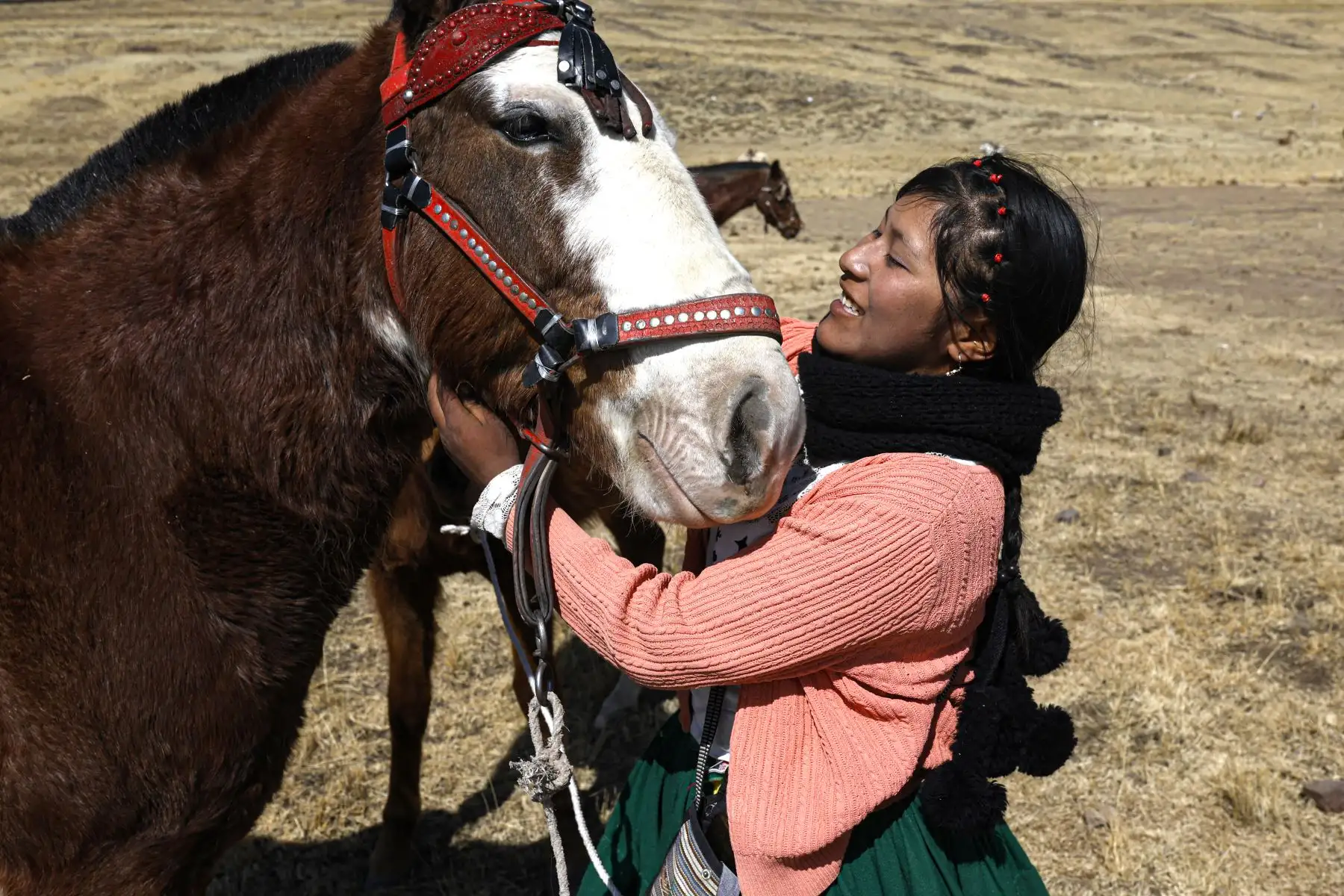 Una jinete perteneciente al pueblo indígena aymara se alista para participar en una carrera de caballos en la comunidad Molino, ubicada en el distrito de Acora, a 4000 metros sobre el nivel del mar en Puno, Perú.
Foto: AFP