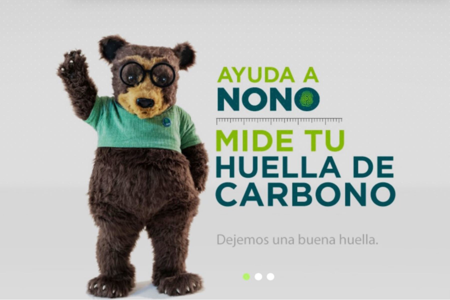 El oso de anteojos peruano 