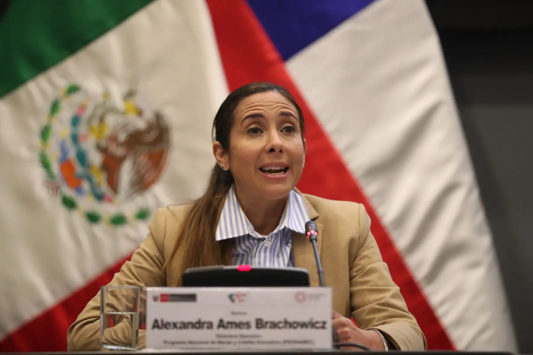 El Programa Nacional de  Becas y Crédito Educativo (PRONABEC) y el Ministerio de Relaciones Exteriores dan la bienvenida a los ganadores de la Beca Alianza del Pacífico, estudiantes procedentes de países como Chile, México y Colombia. Foto: ANDINA / Lino Chipana