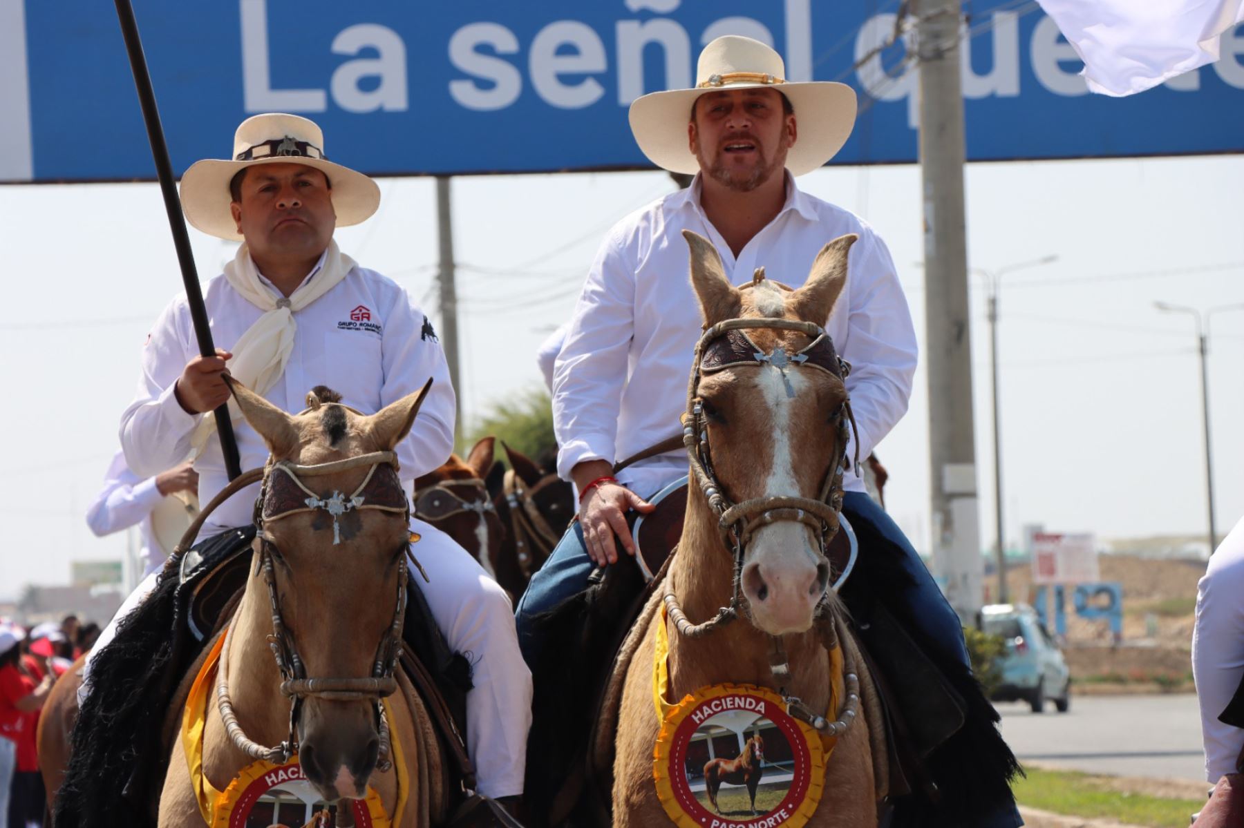 El LIX Concurso Regional Oficial del Caballo Peruano de Paso Chiclayo 2024 se desarrollará en el estadio de Pimentel. Foto: ANDINA/Difusión