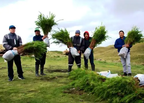 Organizaciones comunales de diversas provincias de Cajamarca postulan sus planes de negocio forestal a programa Bosques Productivos Sostenible. ANDINA/Difusión